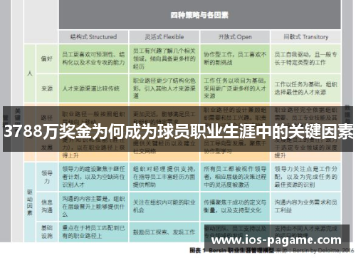 3788万奖金为何成为球员职业生涯中的关键因素