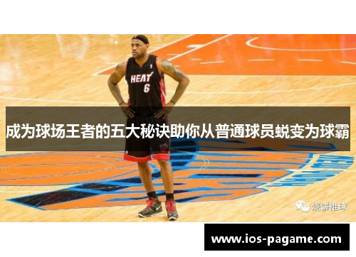 成为球场王者的五大秘诀助你从普通球员蜕变为球霸