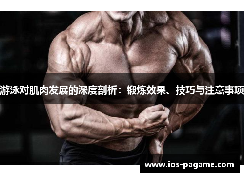 游泳对肌肉发展的深度剖析：锻炼效果、技巧与注意事项
