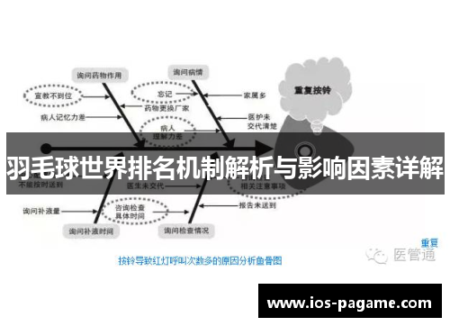 羽毛球世界排名机制解析与影响因素详解
