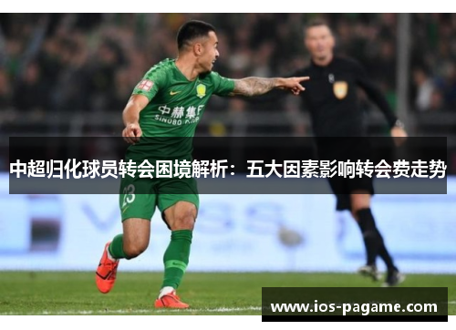 中超归化球员转会困境解析：五大因素影响转会费走势
