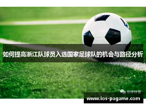 如何提高浙江队球员入选国家足球队的机会与路径分析