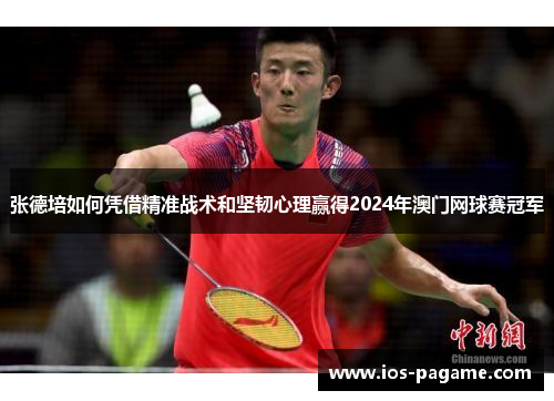 张德培如何凭借精准战术和坚韧心理赢得2024年澳门网球赛冠军