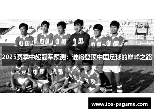 2025赛季中超冠军预测：谁将登顶中国足球的巅峰之路
