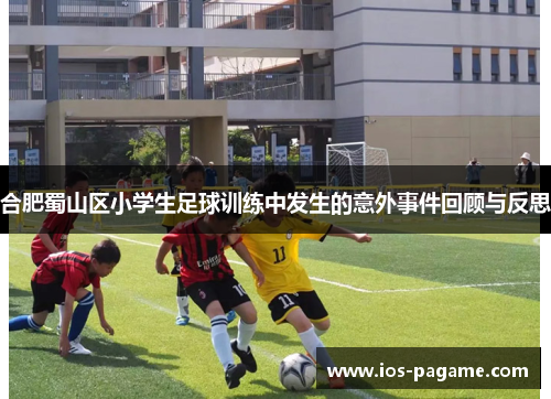 合肥蜀山区小学生足球训练中发生的意外事件回顾与反思