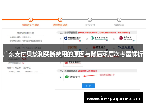 广东支付贝兹利买断费用的原因与背后深层次考量解析