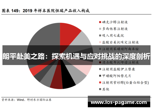 朗平赴美之路：探索机遇与应对挑战的深度剖析