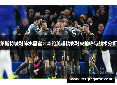 莱斯特城对阵水晶宫：本轮英超精彩对决前瞻与战术分析