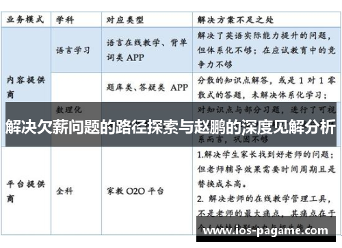 解决欠薪问题的路径探索与赵鹏的深度见解分析