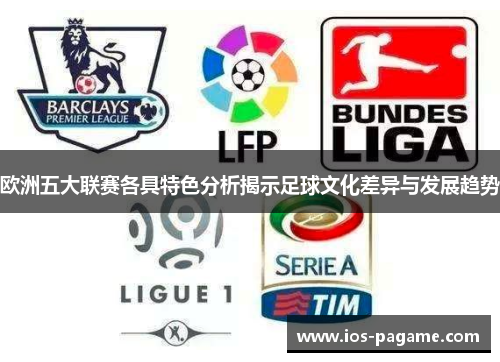 欧洲五大联赛各具特色分析揭示足球文化差异与发展趋势