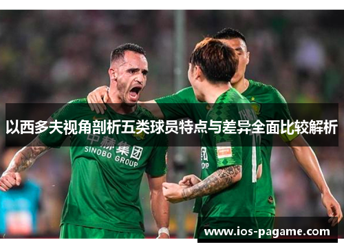 以西多夫视角剖析五类球员特点与差异全面比较解析