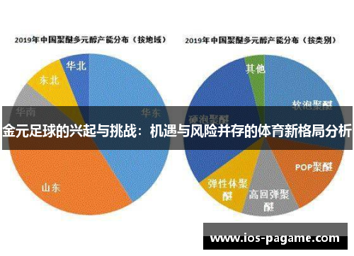 金元足球的兴起与挑战：机遇与风险并存的体育新格局分析