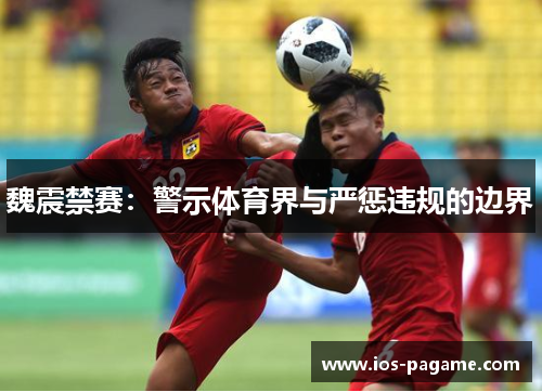 魏震禁赛:警示体育界与严惩违规的边界 魏震禁赛:警示体育界与严惩违规的边界