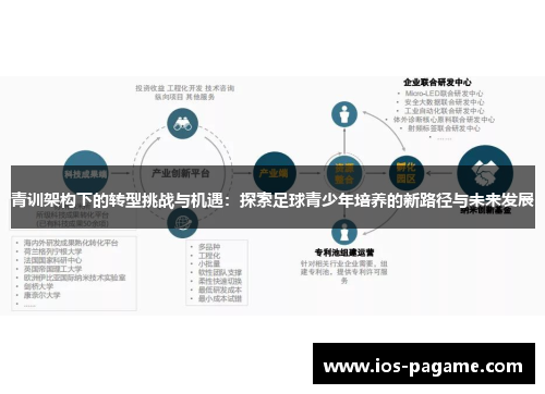 青训架构下的转型挑战与机遇：探索足球青少年培养的新路径与未来发展