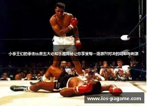 小拳王们的拳击比赛五大必知乐趣揭秘让你享受每一场激烈对决的精彩与刺激 小拳王们的拳击比赛五大必知乐趣揭秘让你享受每一场激烈对决的精彩与刺激