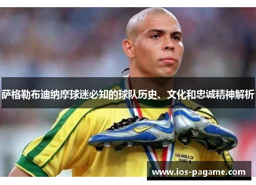 萨格勒布迪纳摩球迷必知的球队历史、文化和忠诚精神解析